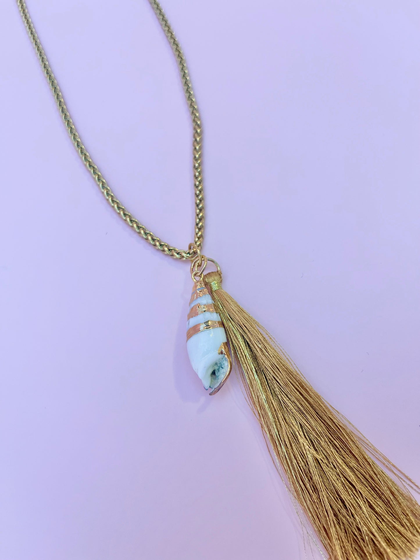 Bullia Shell Necklace